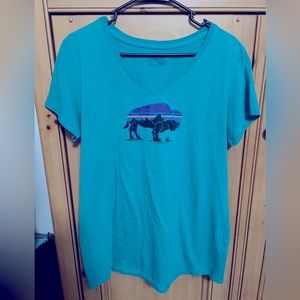 Patagonia Teal V-neck shirt